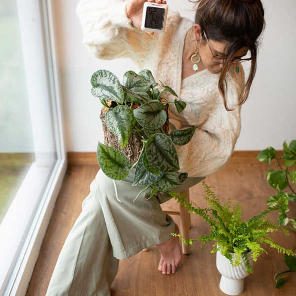 Asesoría para interiores