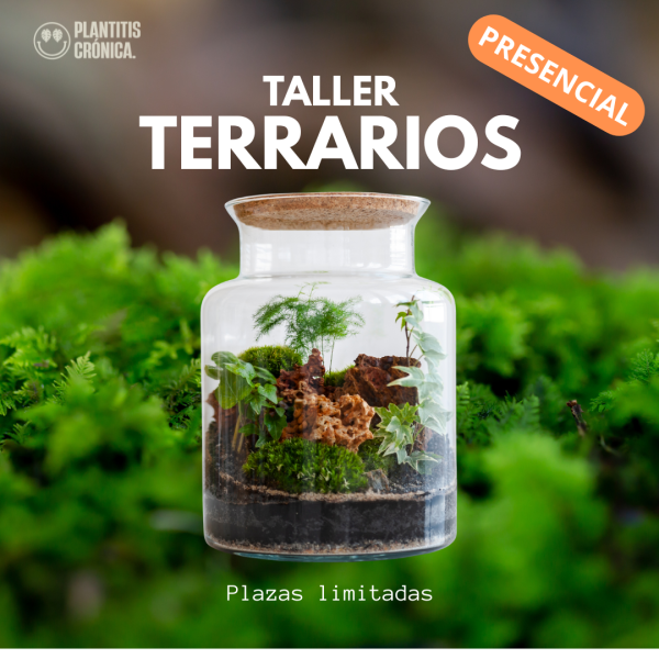 TALLER TERRARIOS A LA CARTA - GALICIA